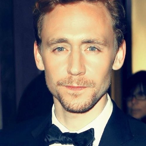 Loki of Puddingさんのプロフィール画像
