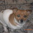 LorenaSaavedraP's profile image