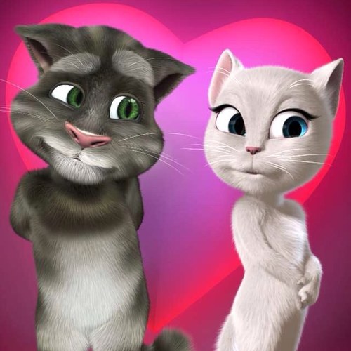 43bird43's profile picture. 