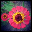 Ira Frances - @IraFrances801 - Twitter