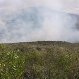 gmkamunya's profile picture. 