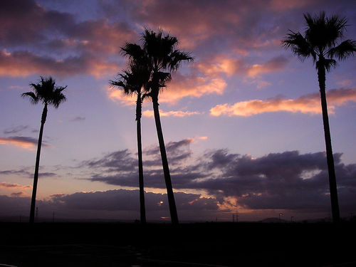 whmsoft's profile picture. Moblog: news photos slideshows. vlrPhone: HD voice at low bitrate. 
vlrFilter: multifunction audio filter with remote control.