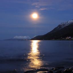 ConradVerwey's profile picture. #TeamFollowBack