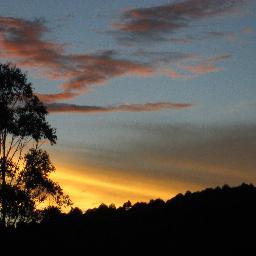 viasycaminos951's profile picture. maria canela es divertida, amable, gran lectora, estudiosa, busca  la risa en la cotidianidad, le saca la piedra la injusticia y la discriminación..