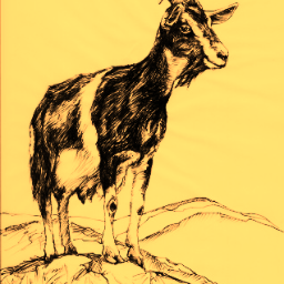 Dujardin51110's profile picture. producteur de fromages de chèvres  BIO