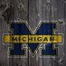michiganfan (@webberfan30toi) Twitter profile photo