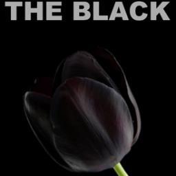 TheBlack_Writer's profile picture. Author of thrillers, horror, suspense and sizzling #erotic fiction.