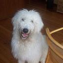 barry walter - @Barrybwa - Twitter