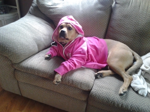I'm a bad bitch, no muzzle.