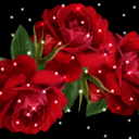الرحمه الحكمه (@01221319802) Twitter