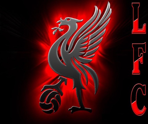 life long Liverpool FC supporter