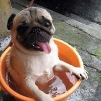 Buscaylet Sandrine (@buscaylet) 's Twitter Profile