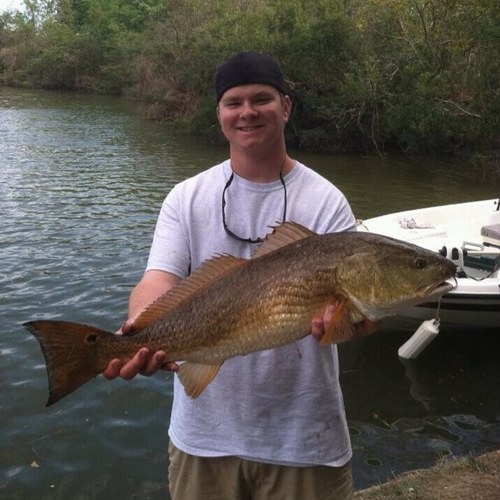 AustinByTheSea's profile picture. 