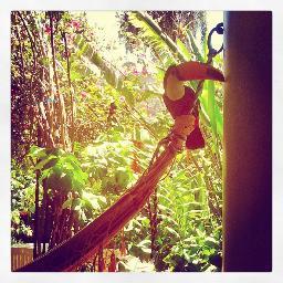 Vesnilomas's profile picture. Estudiante de Enfermería, UST. Viajera del paisaje, disfrute AHORA!.