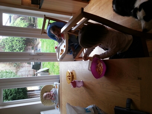 barbaranorth1's profile picture. Mother of 2, and grandmother to 5 wonderful grandchildren. I am currently MCA & DoLS nurse. All views and comments are my own.