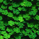 Joses del ramos - @Josesdelramos - Twitter