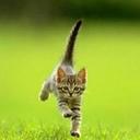 Sergio Matthews - @MatthewsSergio - Twitter