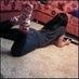 مراهقه عشرينيه (@noo0oof_2013) Twitter profile photo مراهقه عشرينيه (@noo0oof_2013) Twitter profile photo