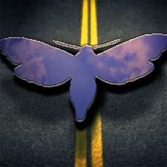 diligenttweet's profile picture. Diligent Designs specialize in eye-catching graphic designs, intuitive web site navigation, and full business branding solutions for targeted marketing.