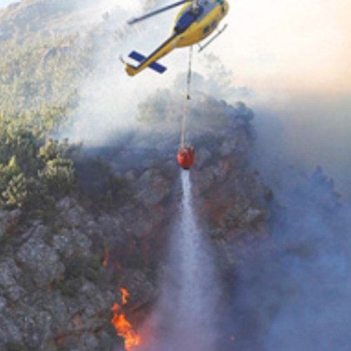 FireafricaMann's profile picture. 