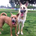 Bailey Fitzpatrick - @B_Fitzpatrick_ - Twitter