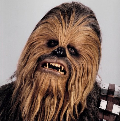 brownchewie's profile picture. Ham Solo. [RP/Parody]