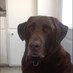balzac (@balzacgm) Twitter profile photo