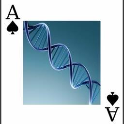 Stock trader primarilly focusing on the Biotech sector.