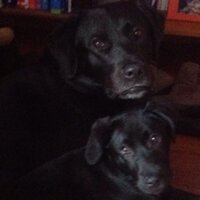 Aurora Notarianni (@auretta63) 's Twitter Profile