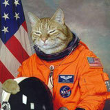 childsorchard's profile picture. Bookseller and Alchemist