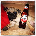 Milton Harvey - @MiltonHarvey524 - Twitter