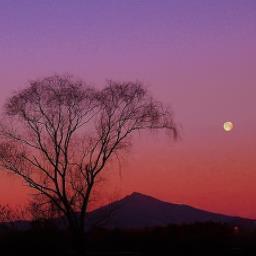 nhket's profile picture. 松コスの人かわいい