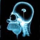 patparazzi's profile picture. Radiologist