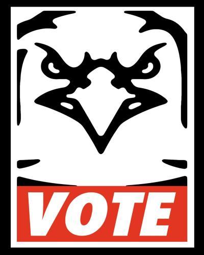 The Elections Committee is an unbiased group comprised of undergraduate students representing all classes.
