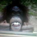 Adam oldham  - @AdsOldham - Twitter