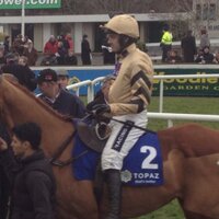 Joe Bunn (@bigjoehorsetips) 's Twitter Profile
