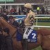 Joe Bunn (@bigjoehorsetips) Twitter profile photo