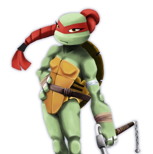 Ninja turtle girl. 16 years. I can be a hot head, am very smart, act stupid at times, but can be a great leader. #Taken by @TMNT__Leonardo #RP