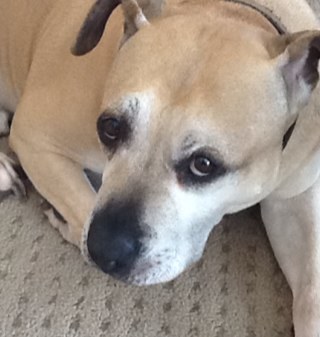 NotUltimateMan's profile picture. 