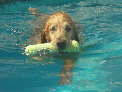 TShearer6's profile picture. Project Manager at Kinsley Construction, Ravens fan, PSU fan, hunts and fishes