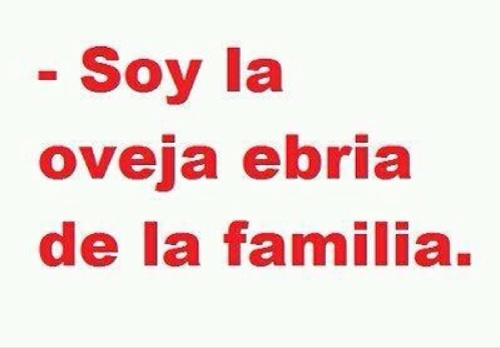 casanovapedro79's profile picture. 