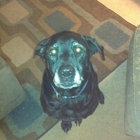 Daniel Matherly (@dmatherly1982) 's Twitter Profile