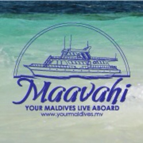 Maavahi, Your Maldives Liveaboard is an exclusive and distinctive Liveaboard passionately dedicated to fulfill the fantasies of ocean lovers.