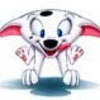 CAMERON (@cameron42078855) 's Twitter Profile