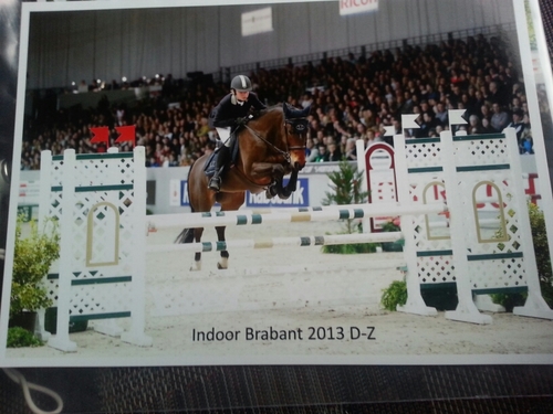 PieterJanDV's profile picture. 