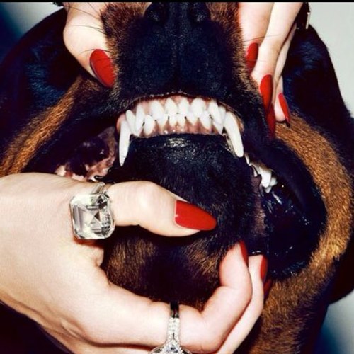 Paris__Now's profile picture. .