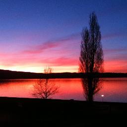 deegerwiilen's profile picture. 