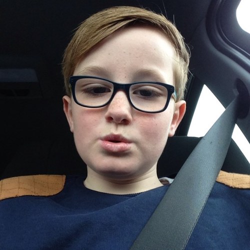 Harryfox257's profile picture. 