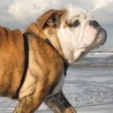 Lisa Mortensen - @morte765 - Twitter