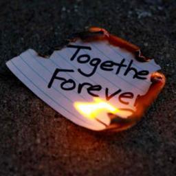 Follow me for the best breakup quotes on twitter, You won't regret it! Feel free to Dm for advice or if you have a good story.
#Teamfollowback